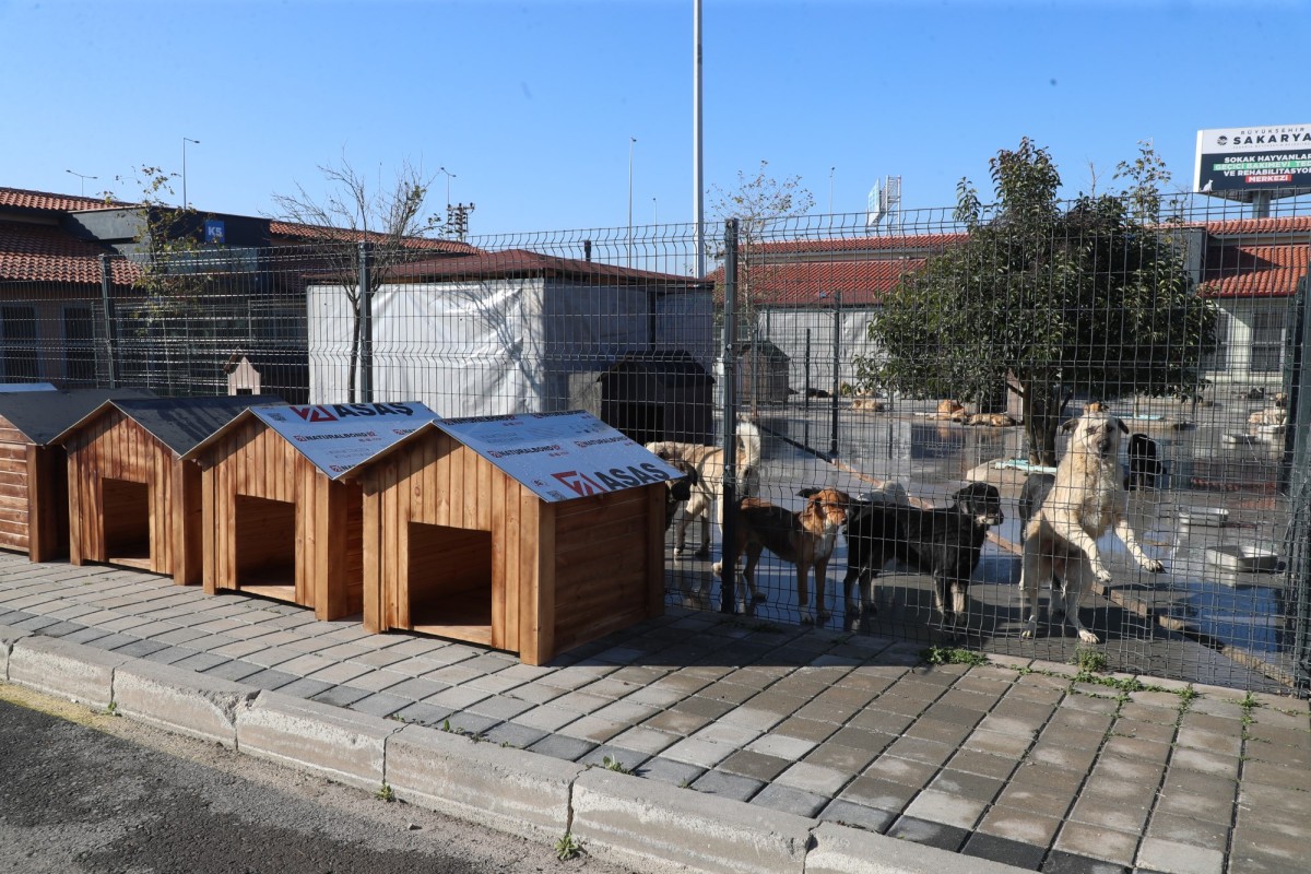 Sakarya Büyükşehir’in hayvan bakımevine mama kabı ve kulübe desteği